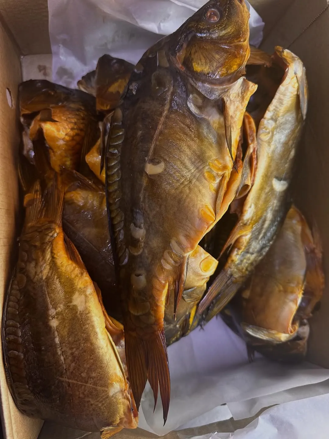 Карп холодного копчения (потрашеный)